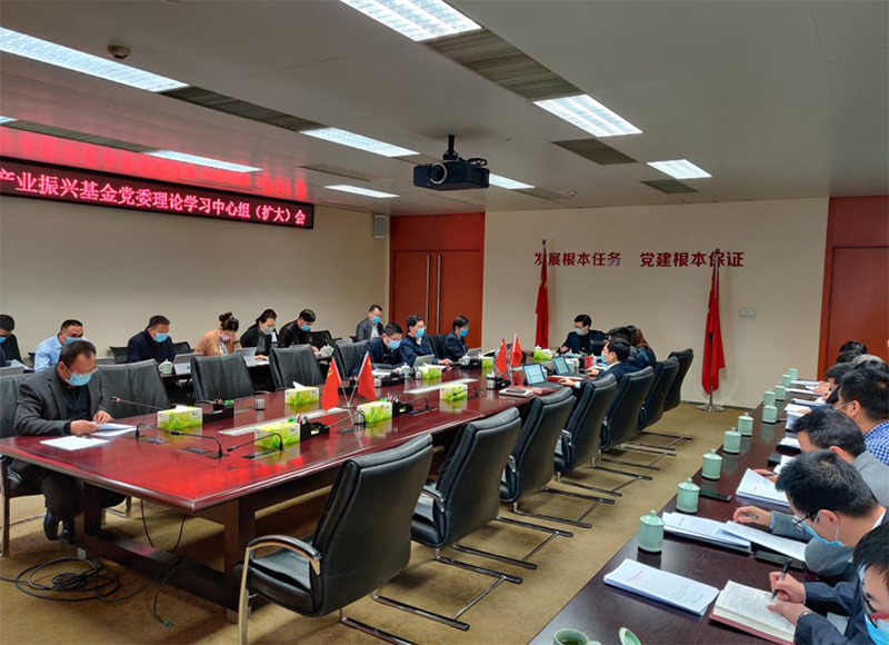 产业振兴基金召开党委理论学习中心组 （扩大）会议专题学习贯彻《党委（党组）落实全面从严治党主体责任规定》