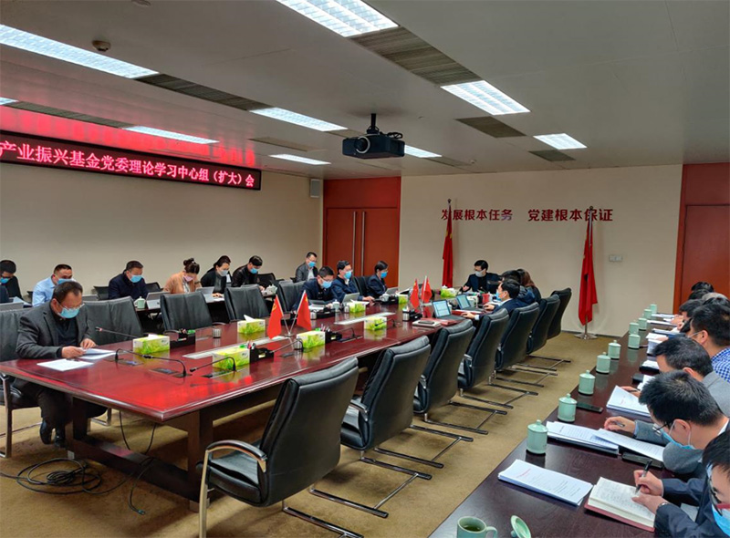 产业振兴基金召开党委理论学习中心组 （扩大）会议暨2020年第7次党委会