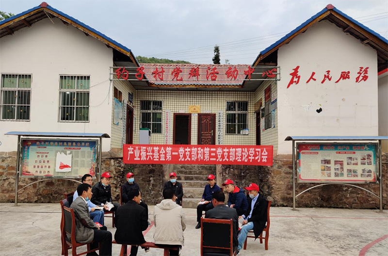 四川产业振兴基金组织年轻党员深入帮扶村学习习近平总书记在脱贫攻坚座谈会上的重要讲话精神