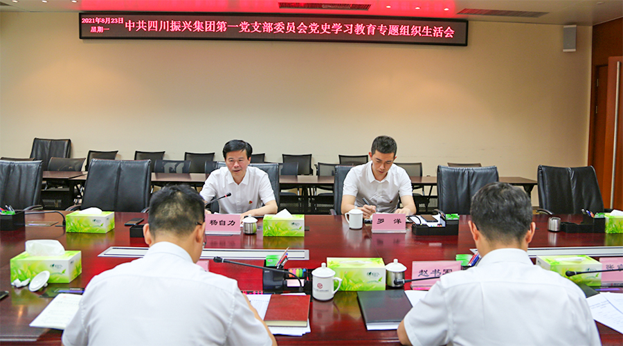 四川振兴集团第一党支部召开党史学习教育专题组织生活会