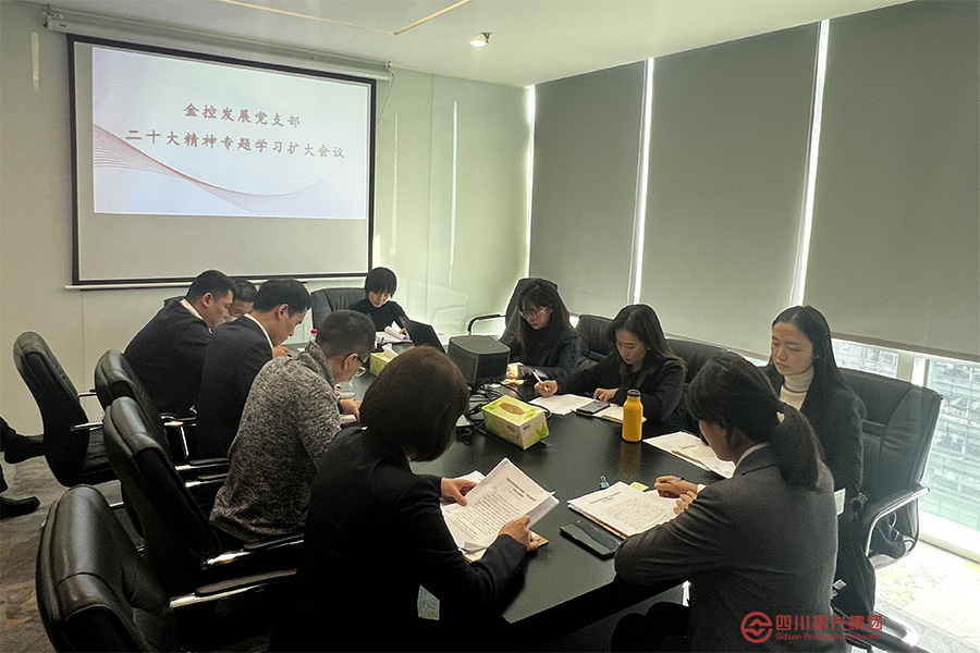 金控发展党支部召开党的二十大精神专题学习会