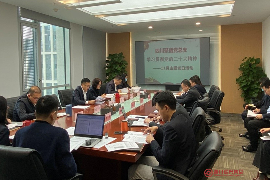 四川聚信党总支开展学习贯彻党的二十大精神主题党日活动