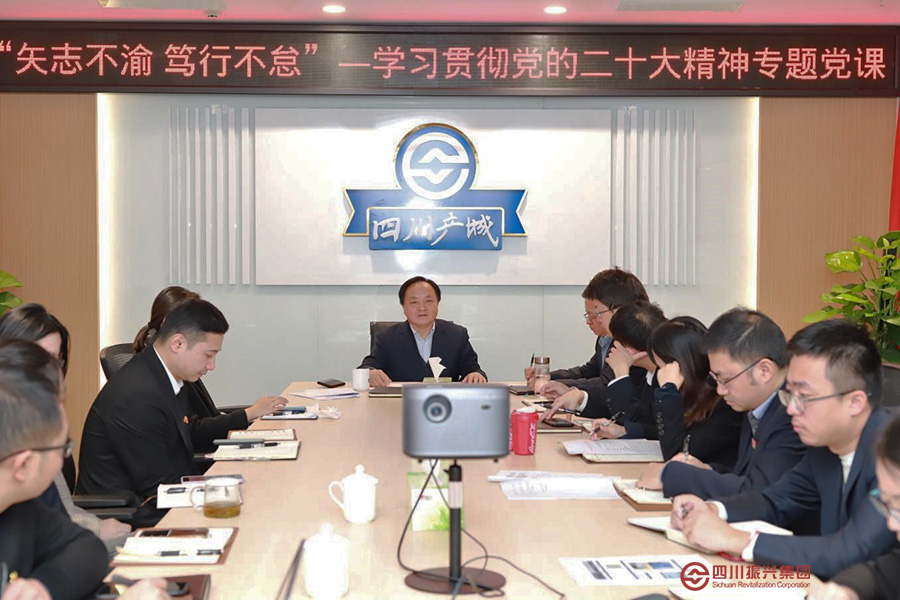 四川产城党支部学习贯彻党的二十大精神