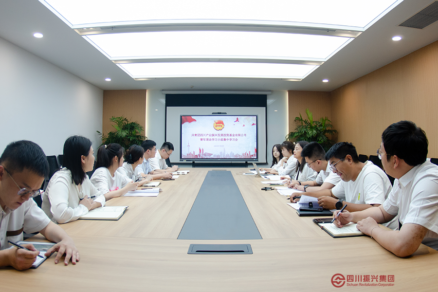 四川产业基金团委召开青年理论学习小组集中学习会