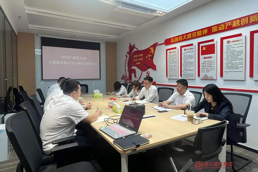 四川产融党支部召开主题教育集中学习暨调研情况交流会