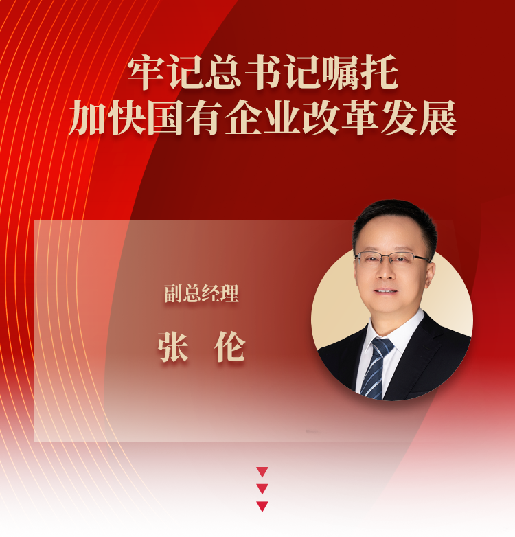 张伦：牢记嘱托 加快国有企业改革发展