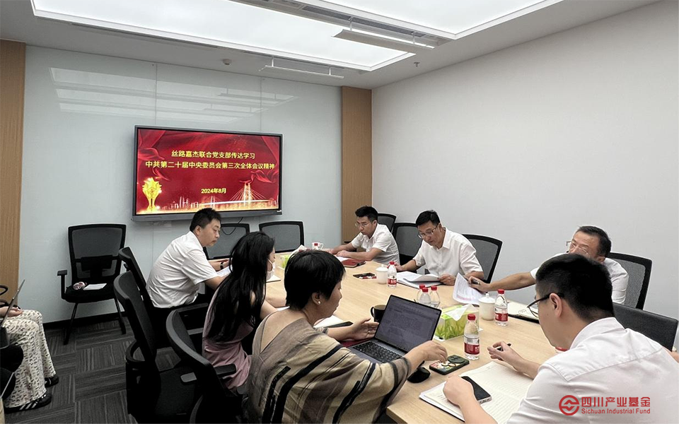 丝路嘉杰联合党支部召开专题会议传达学习贯彻党的二十届三中全会精神