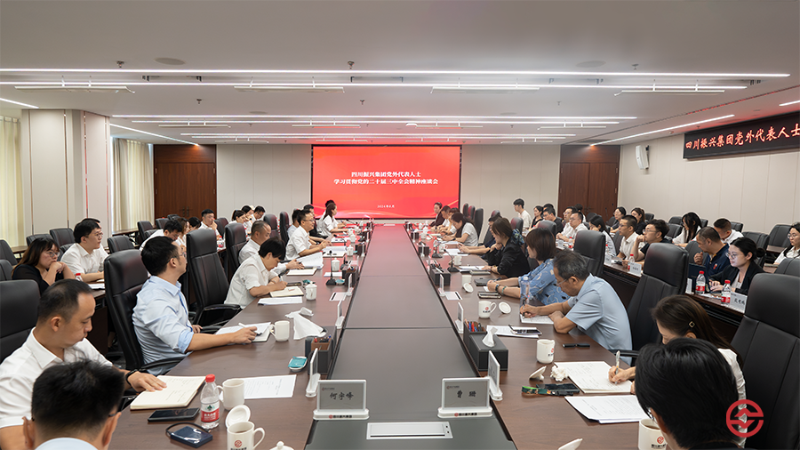 四川振兴集团召开党外代表人士学习贯彻党的二十届三中全会精神座谈会