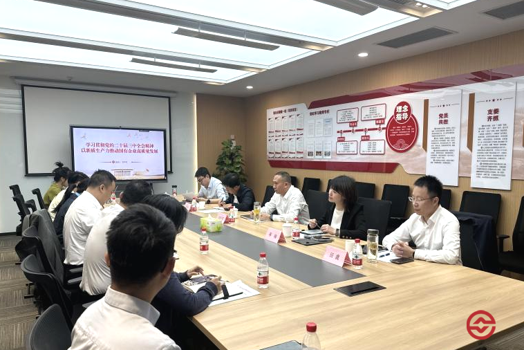 振兴实业党总支学习贯彻党的二十届三中全会精神