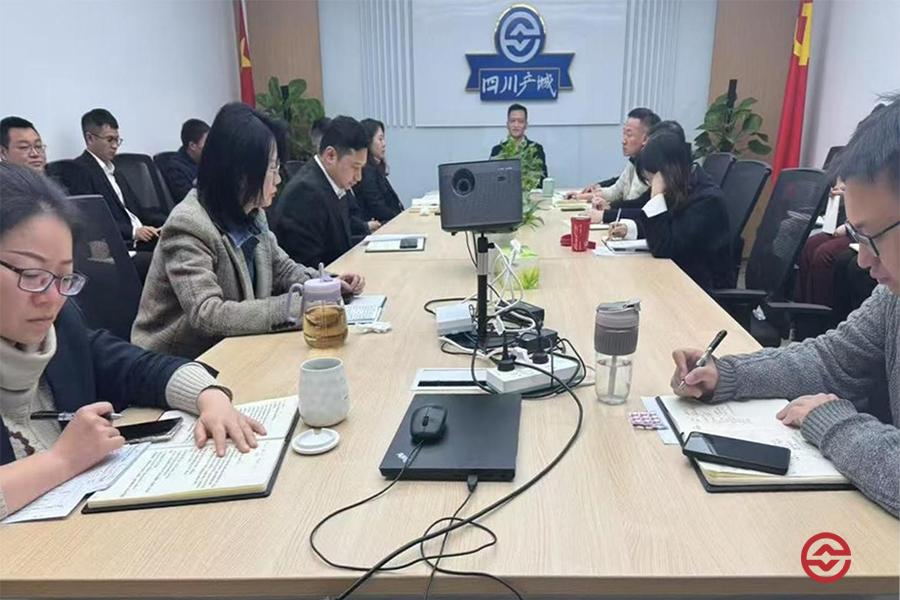 四川产城党支部开展主题党日活动