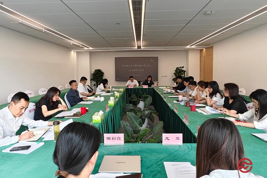 聚信致远四川聚信联合党支部开展主题党日活动